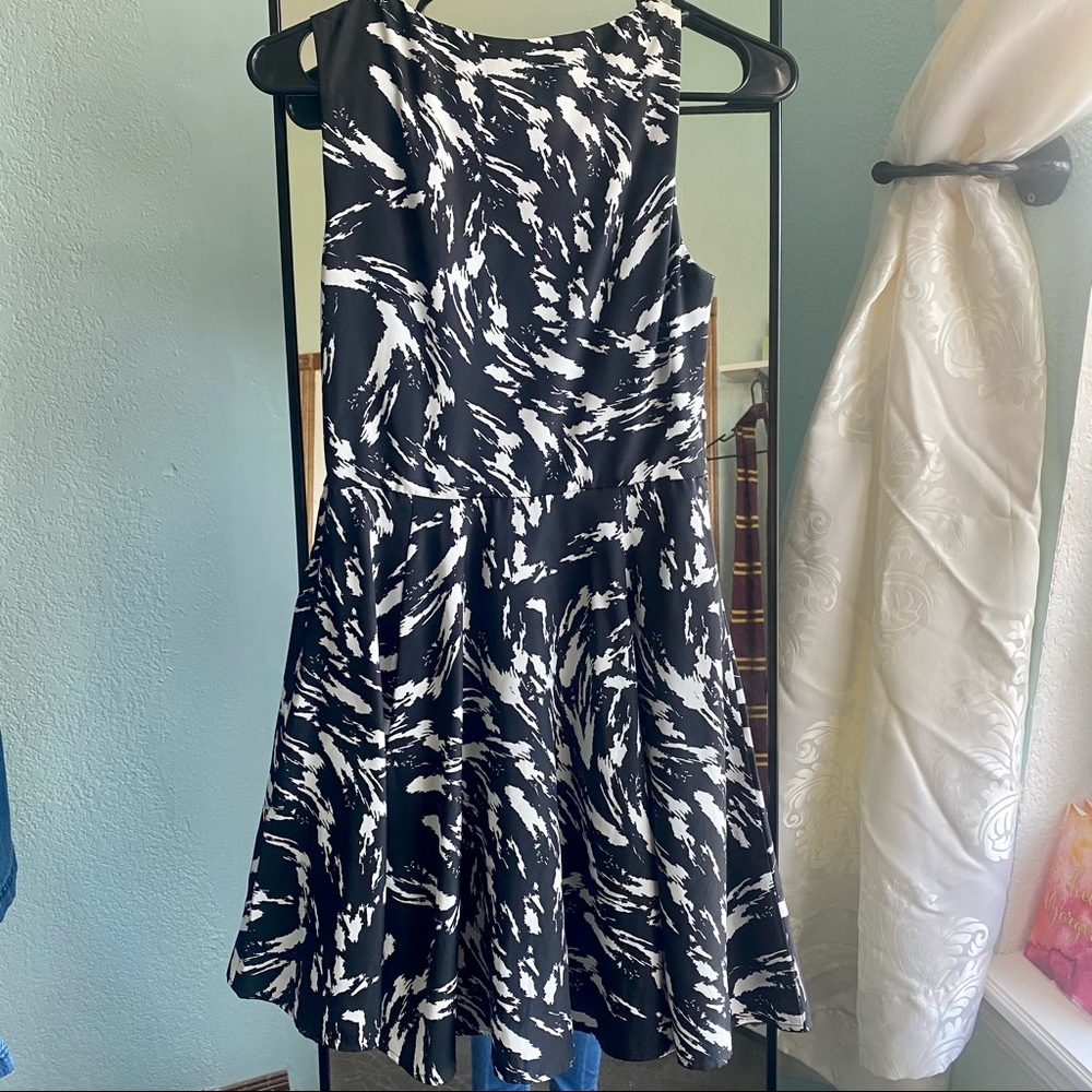 Express Dress - Picture 4 of 7